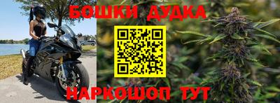 молекула духа Владимир