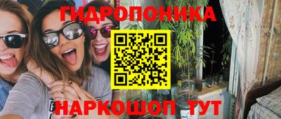 молекула духа Владимир