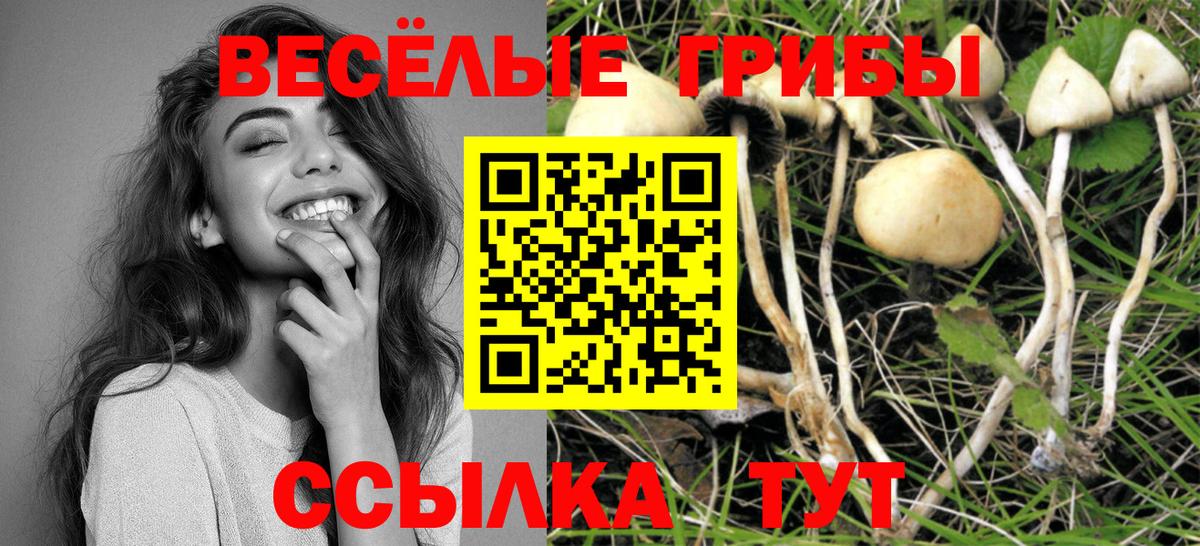 Псилоцибиновые грибы Cubensis Советская Гавань